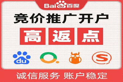 百度竞价排名策略解析：一家公司的广告投放策略全揭秘
